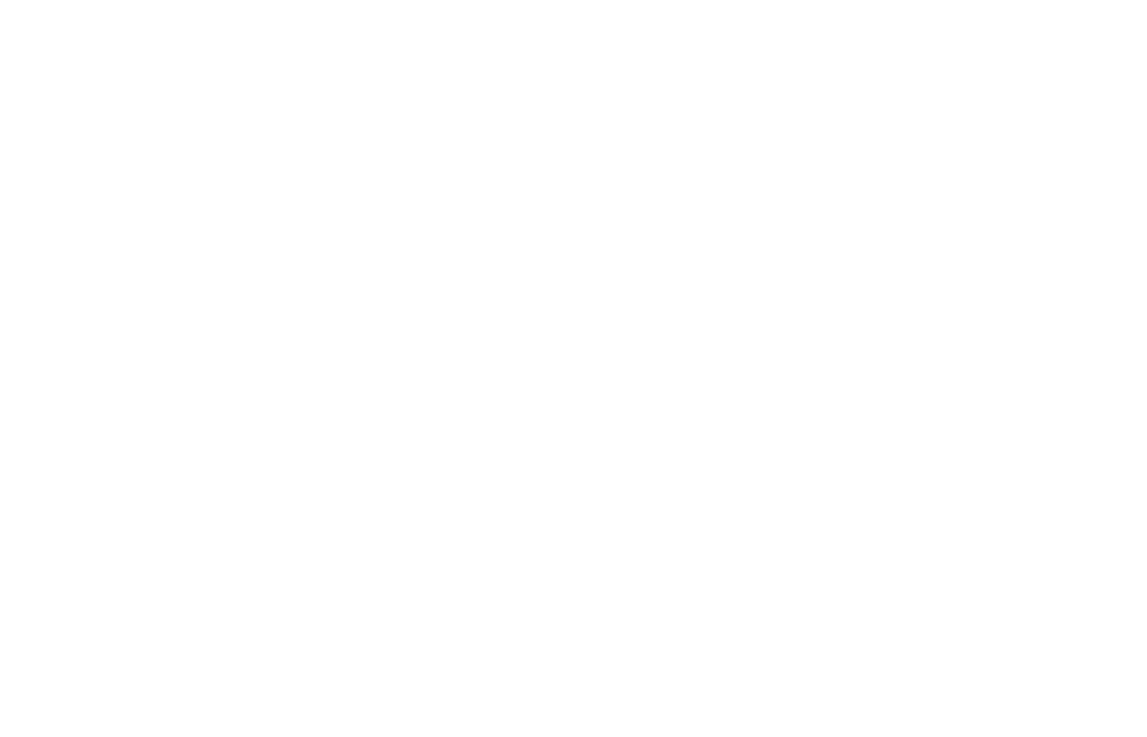 logo-white